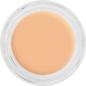 Preview: Digital Complexion Cream Foundation - 12 g - Y25